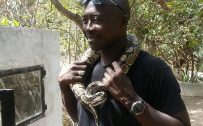 Snake farm