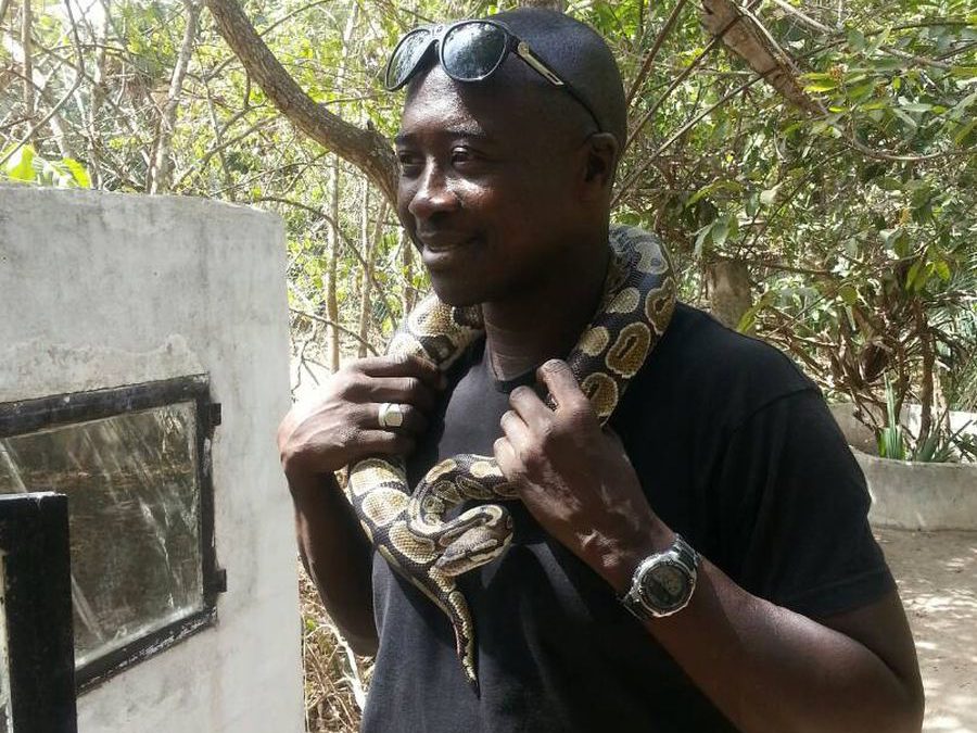 Snake farm